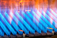 Nant Y Ceisiad gas fired boilers